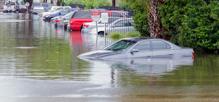 Haines City Flood Damage Repair