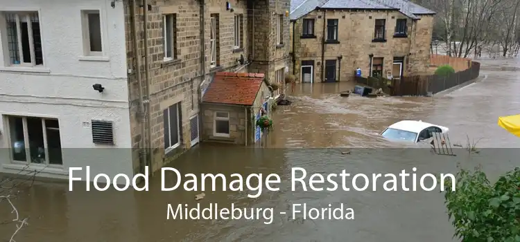 Flood Damage Restoration Middleburg - Florida